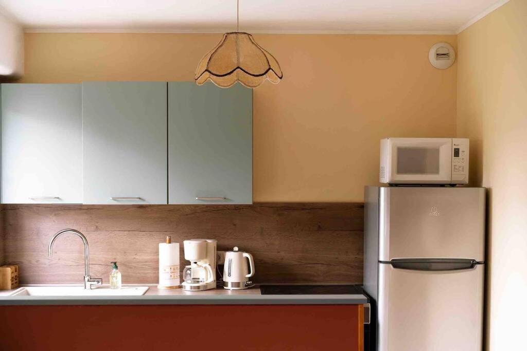 Le Fifties Apartment Verdun-sur-Meuse Bagian luar foto